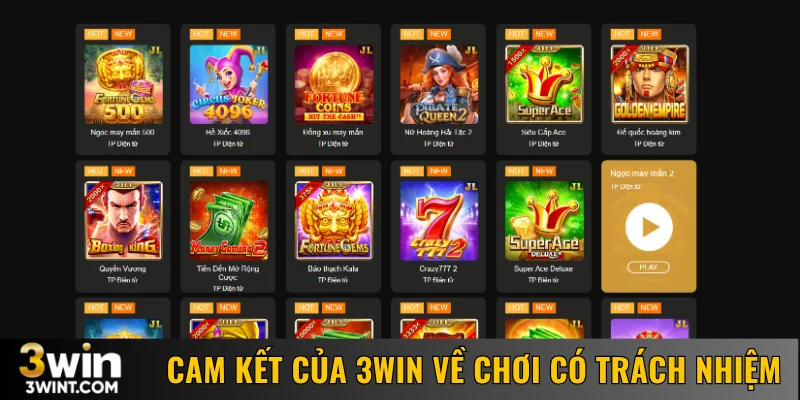 Cam kết của đơn vị cung cấp về chơi có trách nhiệm