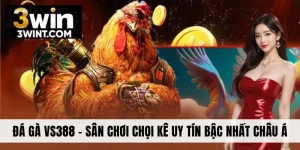 Đá Gà VS388 - Sân Chơi Chọi Kê Uy Tín Bậc Nhất Châu Á