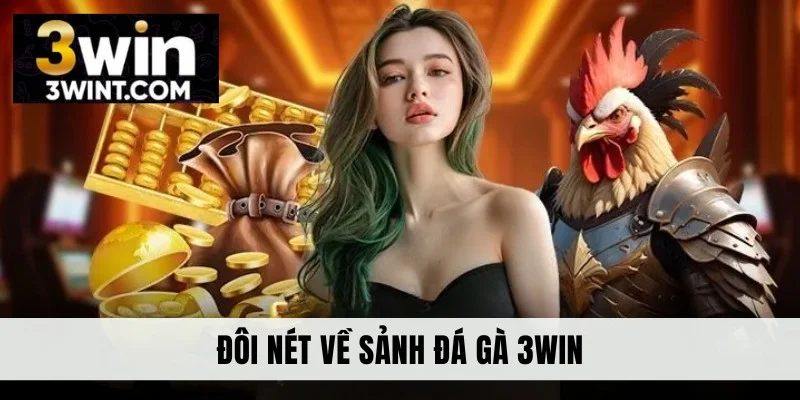 Đôi nét về sảnh đá gà 3WIN