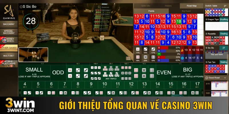 Giới thiệu tổng quan về casino 3WIN